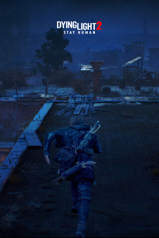 Survival in the Shadows: Dying Light 2