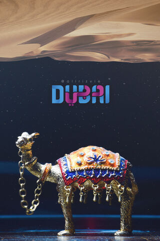 Desert Charm: A Glimpse of Dubai 🐪✨