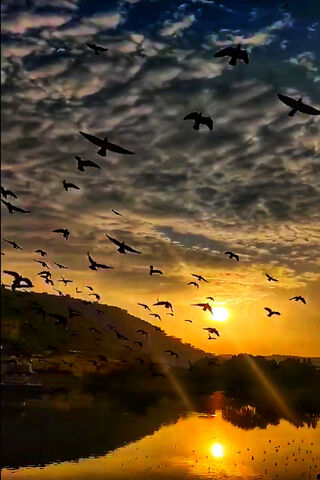 Twilight Serenade: A Dance of Shadows