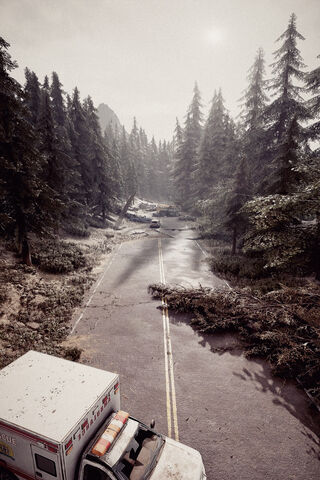 Journey's Last Stop 🚧🌲