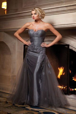 Glamorous Elegance: The Evening Gown