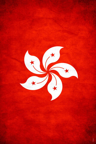 Symbol of Resilience: The Hong Kong Flag