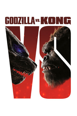 Titans Clash: The Ultimate Showdown! 🦖🦍