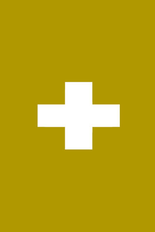 Healing Hub: Hospital General Mex 🏥✨