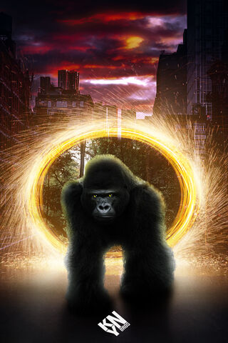 King Kong Vs Godzilla Wallpapers - Top Những Hình Ảnh Đẹp