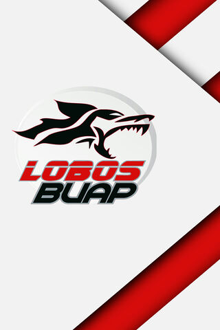 The Fierce Spirit of Lobos BUAP 🐺🔥