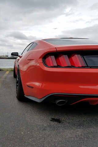 Roaring into Adventure: The Mustang Spirit 🐎