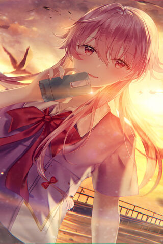 Chronicles of Fate: The Diary of Mirai