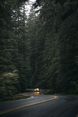 Winding Through Nature's Embrace 🌲🚗