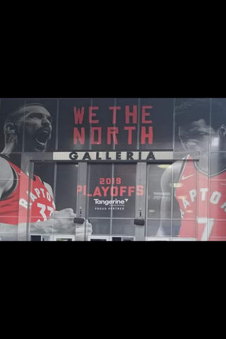 Raptors Rise: A Celebration of Team Spirit! 🏀🔥