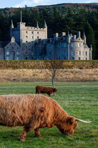 SCOTLAND CASTLE