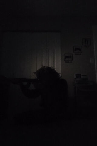 Silent Watcher: The Sniper's Vigil