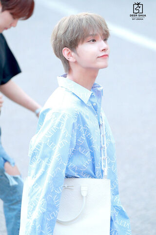 Joshua's Charming Stroll 🌟