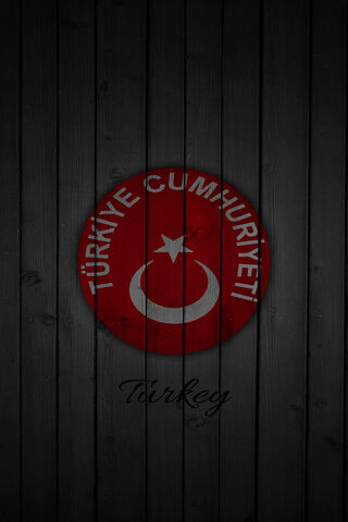 Emblem of a Nation: Türkiye Cumhuriyeti 🇹🇷