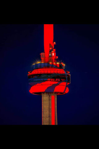 Toronto's Tower of Triumph: Raptors Pride! 🏀✨