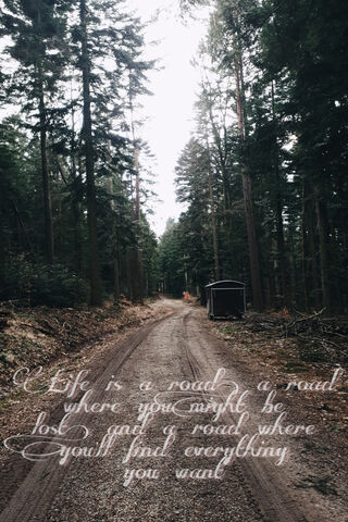 Journey Through the Unknown 🌲✨