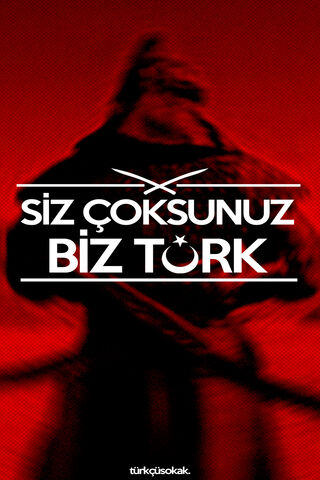 Unity in Strength: The Spirit of Turk 🇹🇷