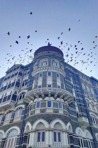 Majestic Taj: A Timeless Icon of Luxury 🏨✨