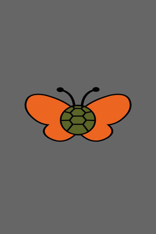 Turtley Awesome Transformation! 🐢🦋