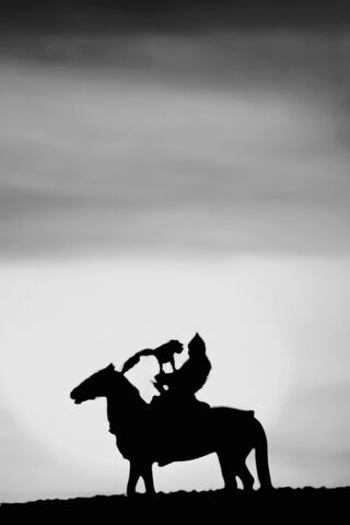 Echoes of the Steppe: The Turkic Warrior