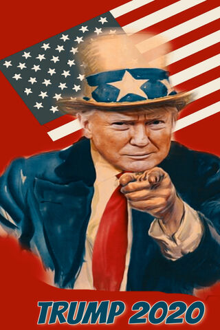 Make America Great Again: The 2020 Vision 🇺🇸