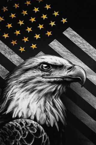 Eagle's Pride: A Symbol..
