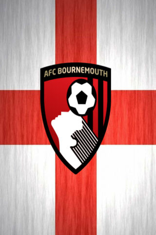 AFC Bournemouth: The Cherries' Pride 🍒⚽