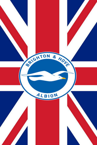 Brighton & Hove Albion: A Pride of the Seagulls! 🦅⚽