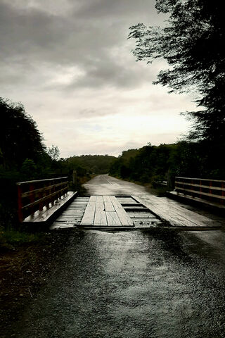 Crossing into Serenity: The Bridge to Tranquility 🌧️🌿
