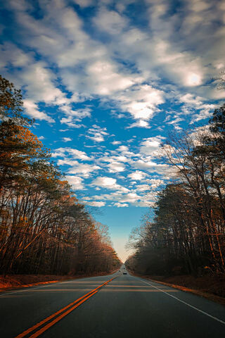 Journey Through the Cloudy Canopy ☁️🚗