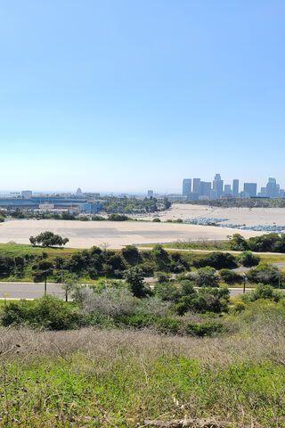 City of Angels: A Glimpse of LA's Skyline 🌆✨