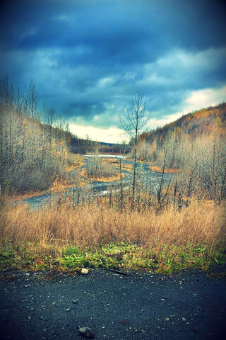 Autumn Serenity on Ol' Country Road 🍂🌾