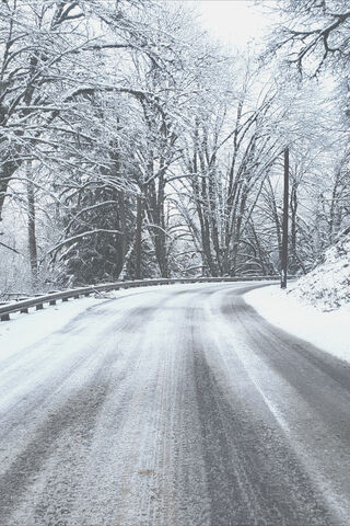 Road In The Woods