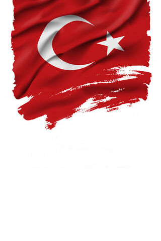Turk Bayragi