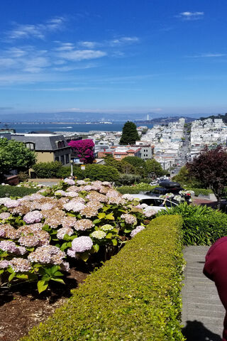 Journey Through the Hills 🌼🚗