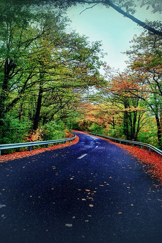 Tsi Road: A Serene Autumn Escape 🍂🚗