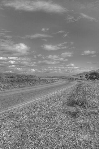 Yol: The Journey Awaits 🚗🌾