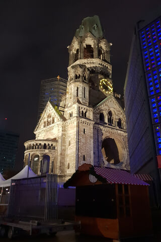 Berlin Zoo: A Nighttime Marvel 🦓🌙
