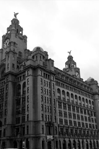 Liver Buildings