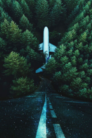 Journey to the Unknown: A Road Less Traveled 🌲✈️