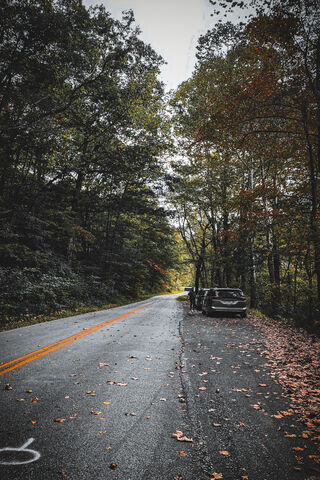 Autumn Journey on the Open Road 🍂🚗