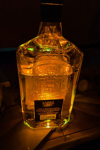 Golden Elixir: The Essence of Scotch 🥃✨