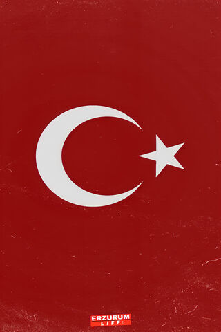 Türk Bayrağı