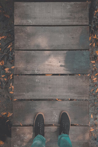 Autumn Walkway: Nature's Pathway 🍂