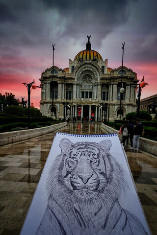 BELLAS ARTES