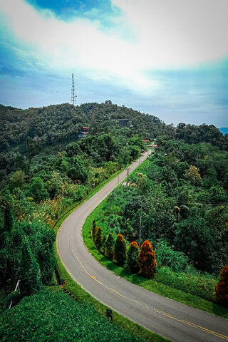 Winding Through Nature's Embrace 🌳🚗