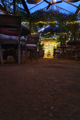Enchanted Night in the Greenhouse 🌙✨
