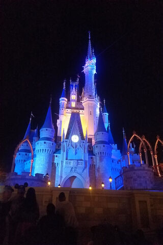 Enchanted Nights at the Disney Castle ✨🏰