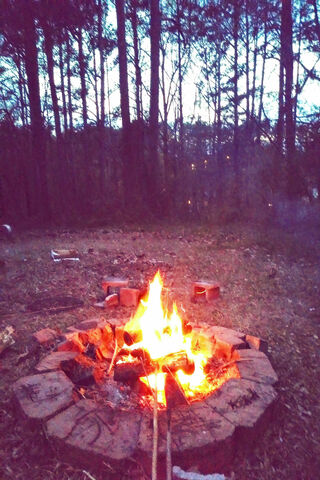 Twilight Flames: A Cozy Evening Gathering 🔥🌲