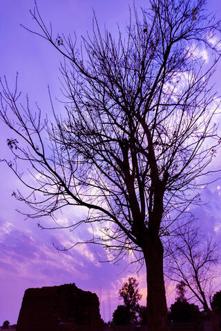 Twilight Serenity 🌅